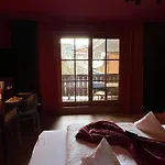Hotel Alpine Palace
